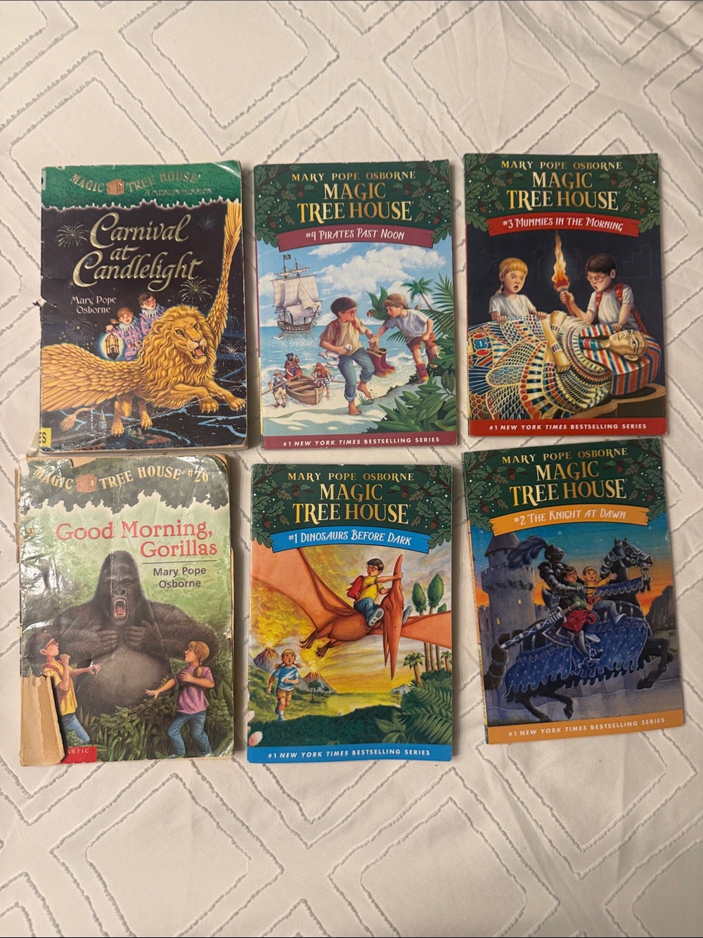 Magic Tree House Kids Book Set - 6 books